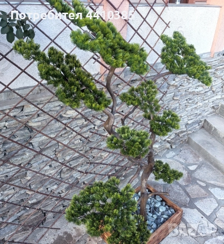 ръчно изработен бонсай Японски стил(уникат) , снимка 3 - Декорация за дома - 52833000