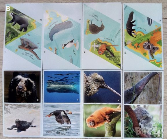 Невероятните животни - стикери - Billa, снимка 1 - Колекции - 41517383