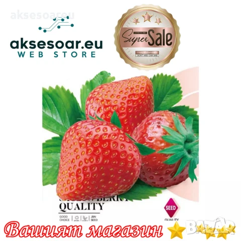 100 бр. семена от гигантска ягода градинско плодово растение сладки и вкусни червени отлични ягоди , снимка 11 - Сортови семена и луковици - 50619358