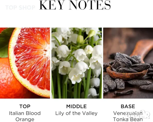 Elizabeth Arden White Tea Eau Fraiche (100 ml) цитрусов флорален аромат, луксозен парфюм за жени, снимка 9 - Дамски парфюми - 49866159