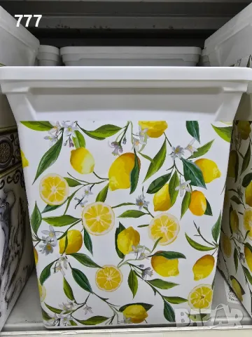 кошчета 10 л, снимка 2 - Други стоки за дома - 48328754