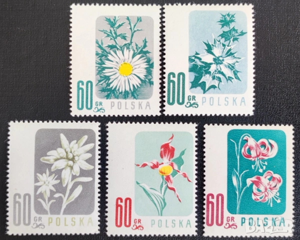 Полша, 1957 г. - лот марки на тема спорт, цветя, изкуство, музика, самолет, личности, кораб и др., снимка 7 - Филателия - 53303130