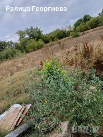 Парцел с постройка