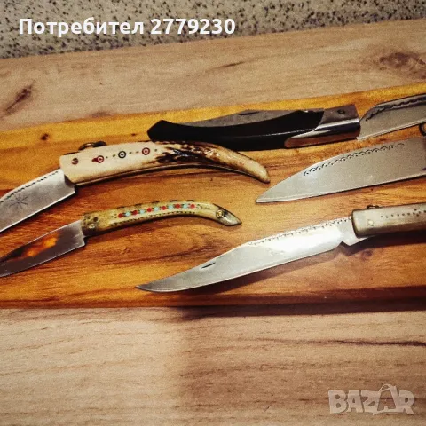 Габровски сойки от колекция Нови!