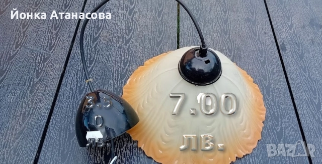 Полилеи, снимка 2 - Полилеи - 51700662