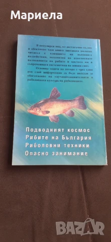 Законите на успеха, снимка 3 - Специализирана литература - 51215766