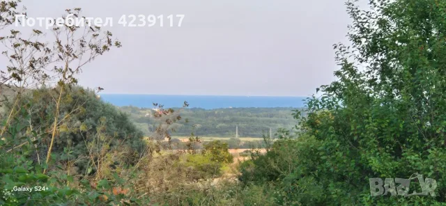 Собственик продава Дворно Място в с. Рогачево, снимка 2 - Парцели - 54112941
