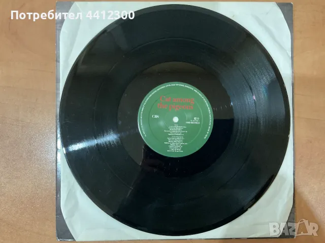 Грамофонна плоча 12”, снимка 3 - Грамофонни плочи - 50155641