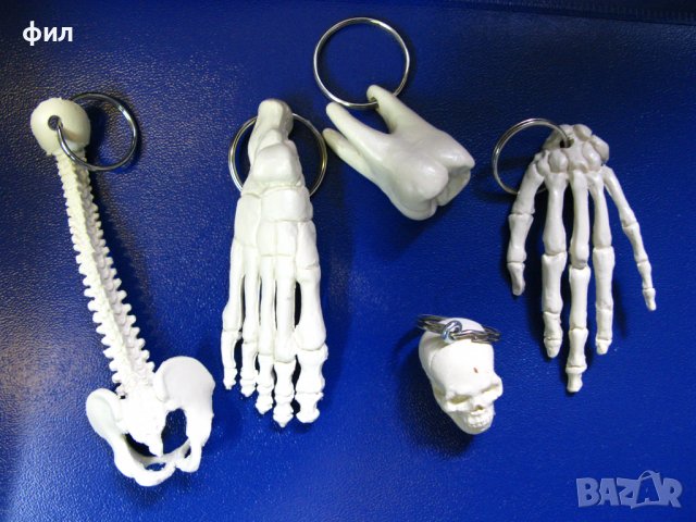 Ключодържател - кости!
