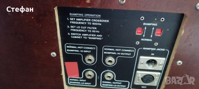  Dynacord CS-41, снимка 3 - Тонколони - 52246348