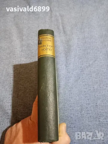 Реймон Есколие - Виктор Юго , снимка 3 - Художествена литература - 48044029