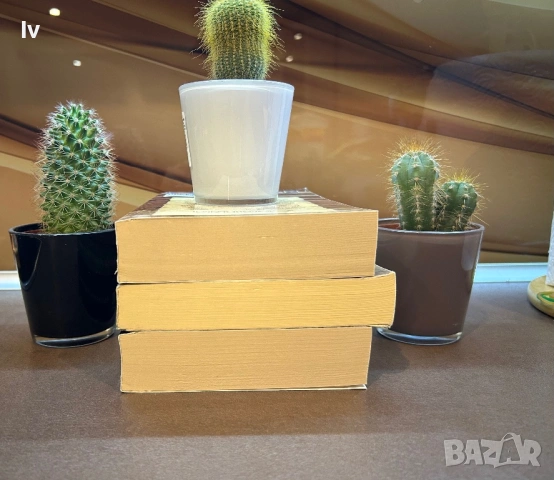 Магдалена Николова -  Новият Вавилон, снимка 4 - Художествена литература - 53625065