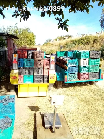 продавам грозде мерло и Каберне , снимка 16 - Домашни продукти - 56088041