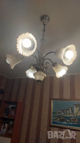 Полилей 5 чашки