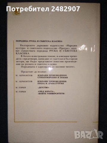 "Железният поток", "Разгром" , снимка 2 - Художествена литература - 35950341