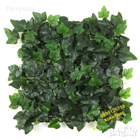 Пано със зеленина-50х50 см./декоративно пано със зеленина/пано