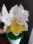 Цветя от мъниста-Амарилис, снимка 1 - Изкуствени цветя - 41856643
