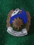 ПОКОРИТЕЛ на ПЛАНИНСКИТЕ ПЪРВЕНЦИ Стара РЯДКА АЛПИНИСТКА ЕМАЙЛИРАНА БРОНЗОВА ЗНАЧКА на ВИНТ 33496, снимка 9