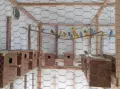 Продавам млади вълнисти папагали., снимка 2