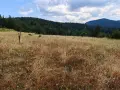 продавам ливада в землището на село Лилково община Родопи, снимка 3