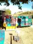 продавам грозде мерло и Каберне , снимка 16