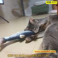 Плюшена играчка за котки, рибка с дължина 20см. - КОД 3117, снимка 16 - За котки - 44823544