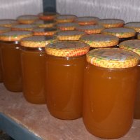 Пчелен мед , снимка 2 - Пчелни продукти - 38228864