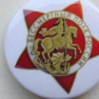 Значка Бессмертный полк России, снимка 3 - Колекции - 33882536