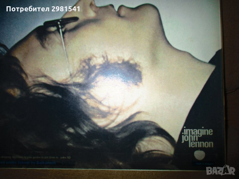 грамофона  плоча , снимка 1