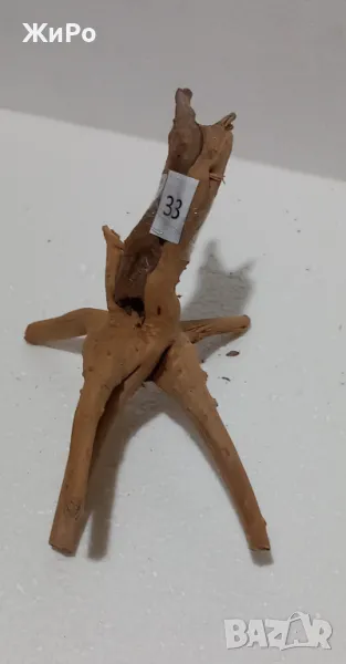 Корен от Азалия /декорация/ 33, снимка 1