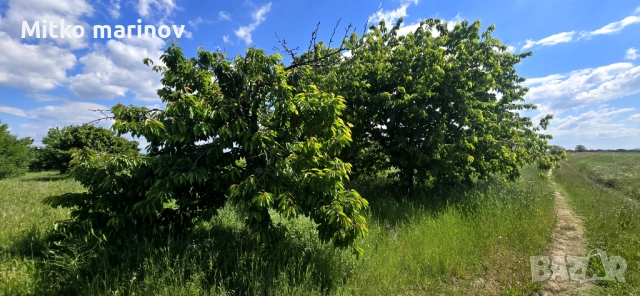 Продава се , снимка 10 - Земеделска земя - 52515931