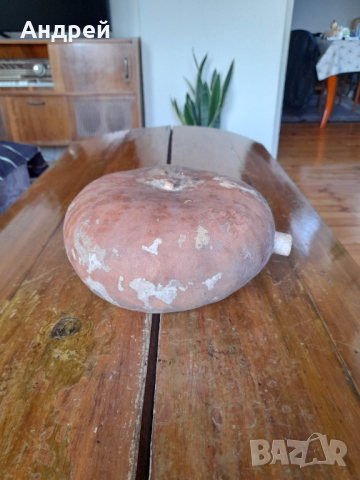 Стара тиква Бъклица