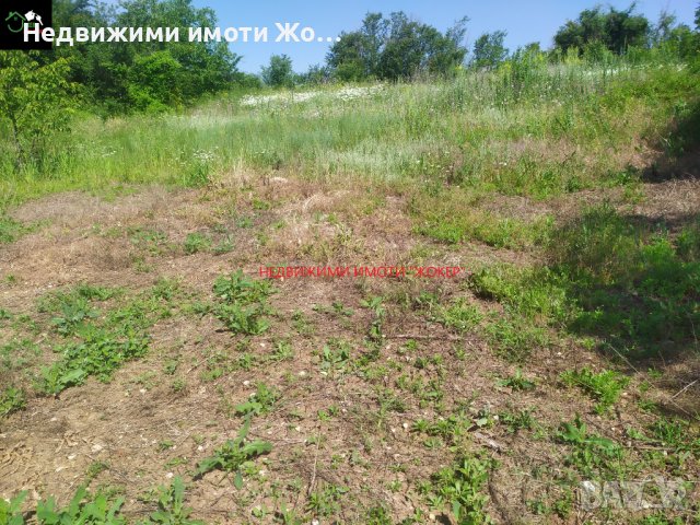 ПАРЦЕЛ в регулация - село Беляковец, снимка 4 - Парцели - 41099039