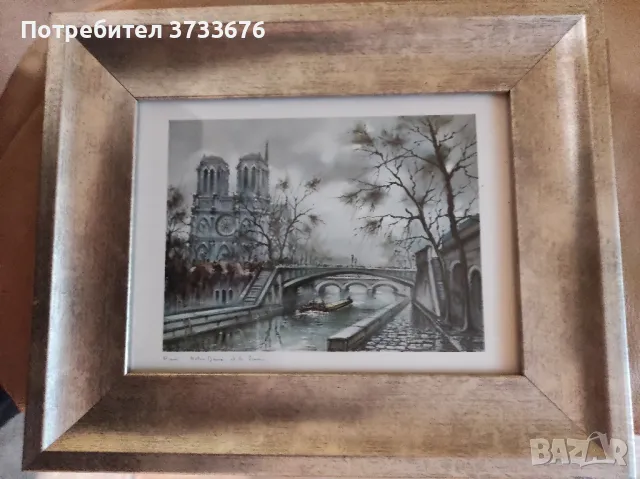 Картина- Париж- катедралата НОТР ДАМ.