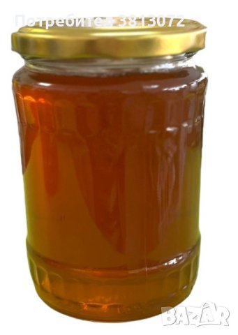 Мед кориандър 750 гр., снимка 2 - Пчелни продукти - 41842478