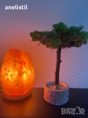 Уникални ръчно изработени дръвчета/бонсаи от скандинавски мъх, снимка 2 - Други - 50942869