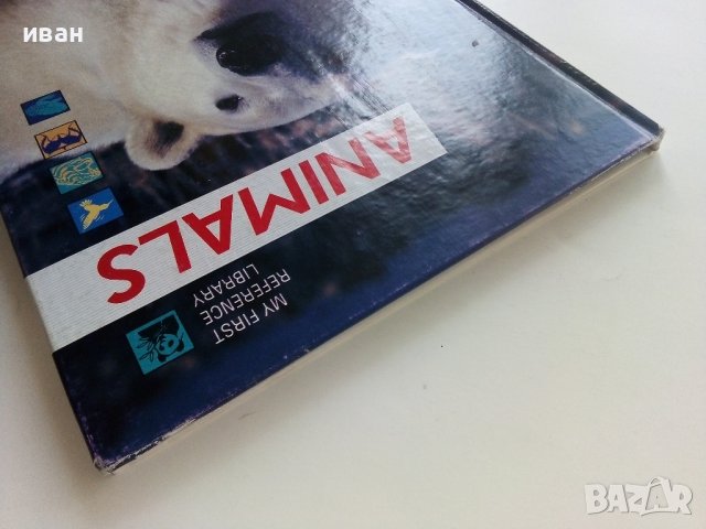 Детска енциклопедия "Animals -my first reference library" - 1994г., снимка 12 - Детски книжки - 42524605