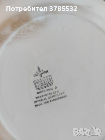 Поднос Limoges , снимка 4 - Антикварни и старинни предмети - 50679050