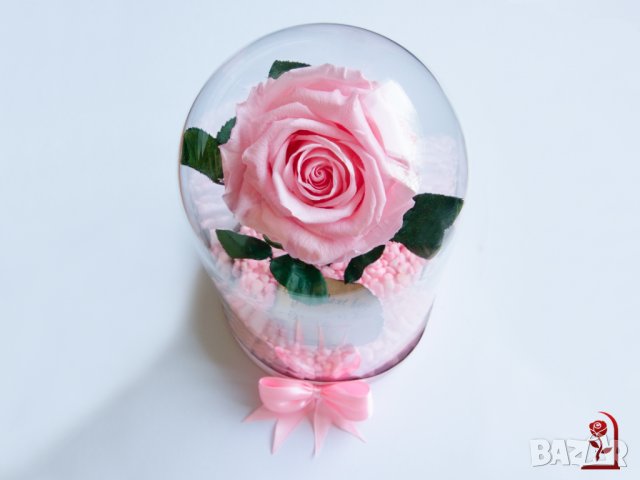 Подарък за Рожден ден на Жена / Истинска Розова Роза в Стъкленица / Жива Вечна Роза, снимка 3 - Декорация за дома - 34646479