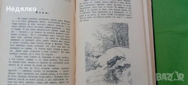 Вилхелм Хауф,Ханс К. Андерсен,приказки,1908г,първо издание , снимка 13 - Антикварни и старинни предмети - 49729285