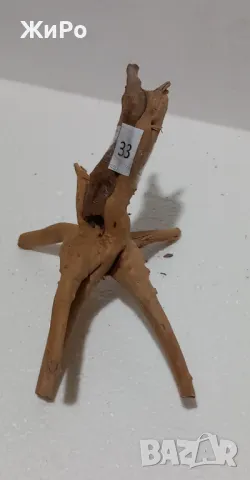 Корен от Азалия /декорация/ 33