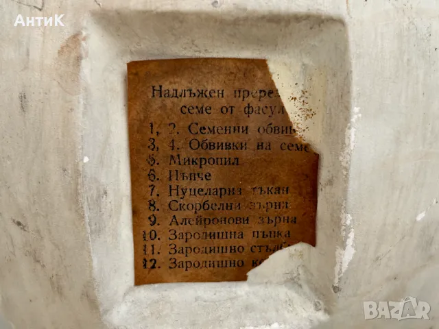 Соц Учебен Макет Модел Биология Учтехпром, снимка 5 - Антикварни и старинни предмети - 47947337