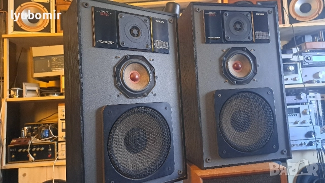 Филипс тонколони.