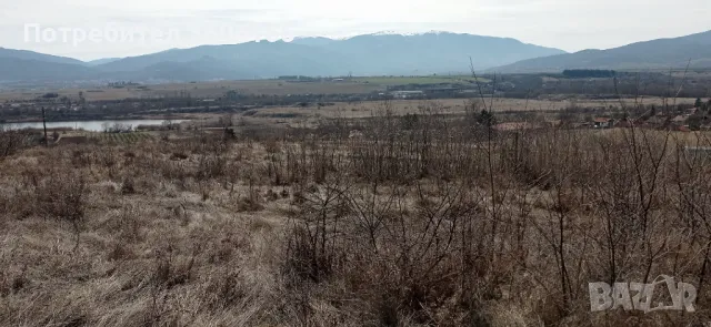 Продавам 1 дек. с двайсетина млади черешови дръвчета [ 0898480946], снимка 5 - Земеделска земя - 44702465