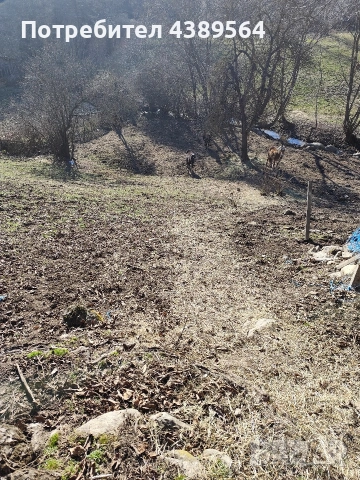 Парцел, снимка 10 - Парцели - 53752352