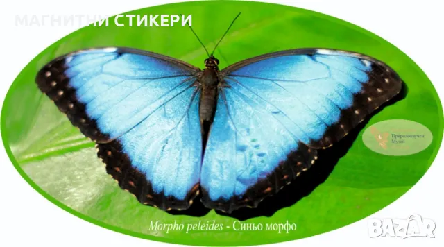 Картички за подаръци за всеки повод , снимка 8 - Подаръци за рожден ден - 49559261