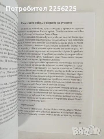 Паневритмията - Мъдрост / Философия/ Откровение, снимка 2 - Специализирана литература - 55988965