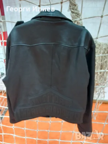 Estestvena koja, снимка 5 - Спортна екипировка - 48162308