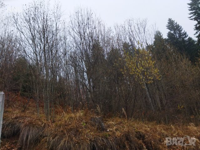 Продава парцел в к.к. Пампорово , снимка 10 - Парцели - 34851745