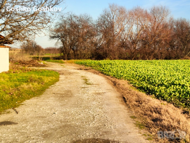Парцел в село Желязно в края на селото, снимка 2 - Парцели - 53713428